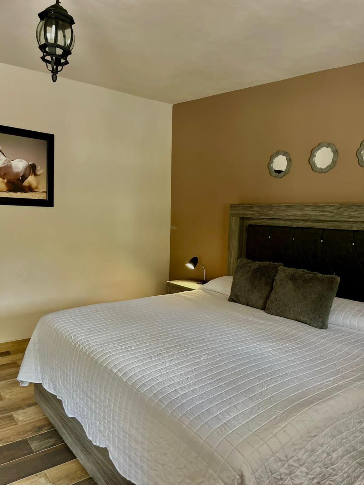 Cabanas, Suites Y Habitaciones Rancho San Jorge Bernal Dış mekan fotoğraf