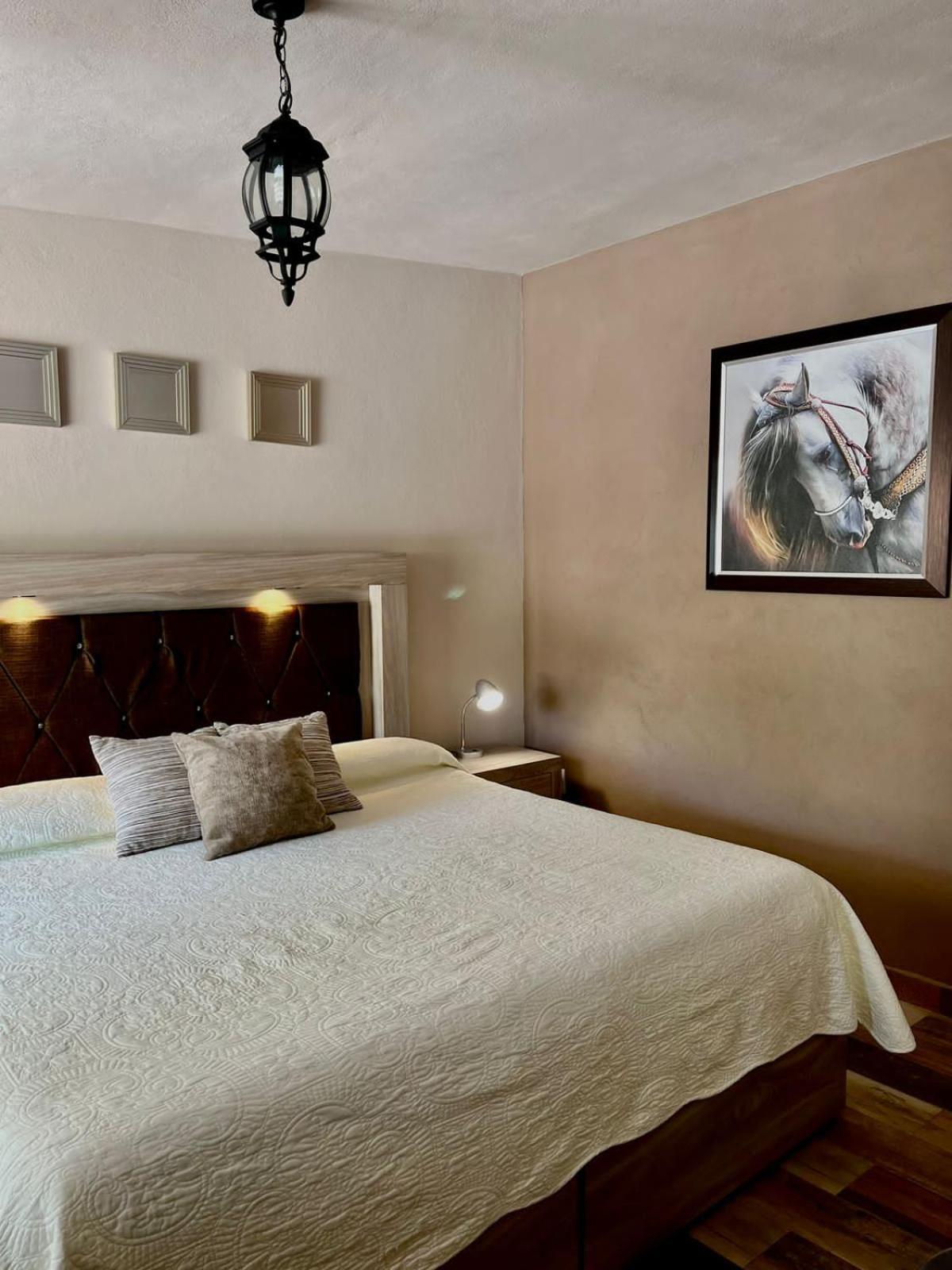 Cabanas, Suites Y Habitaciones Rancho San Jorge Bernal Dış mekan fotoğraf